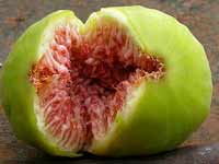 Fig fruit naturally boosts sexuality
